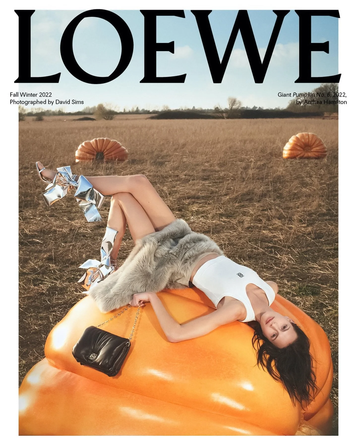 David Sims Eyes LOEWE FW 2022 Campaign Anthea Hamilton Pumpkins